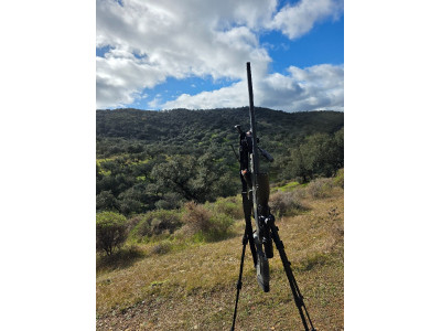 Bergara b14 hmr 300win