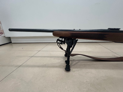 Bergara b14 timber 308