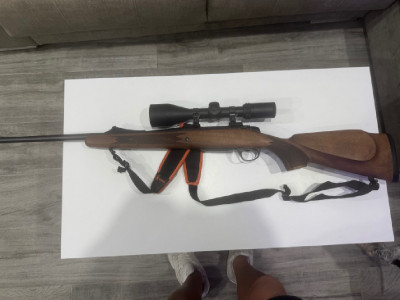 Bergara b14 timberrr