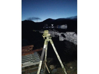 Bergara B14 tunberlo