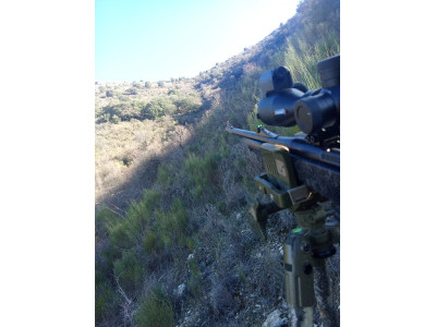 Bergara B14 tunberlo