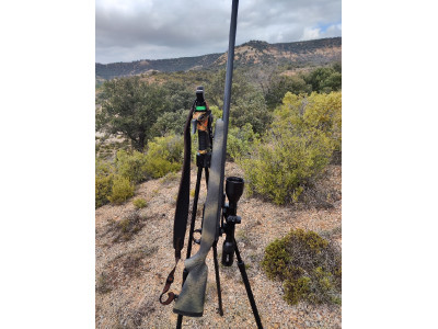 Bergara B14 Wilderness