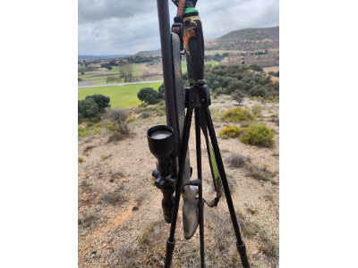 Bergara B14 Wilderness