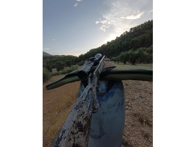 Bergara ba13 30-06 como nuevo