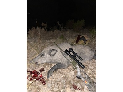 Bergara ba13 30-06 más visor bsa