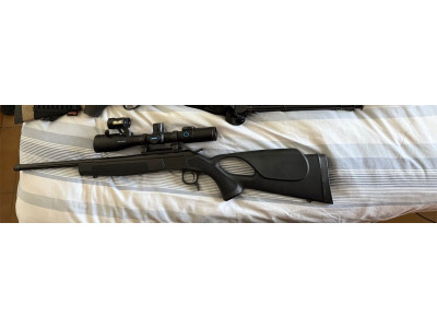 Bergara ba13 thumbole takedown