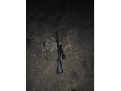 Bergara BMR carbon 17hmr