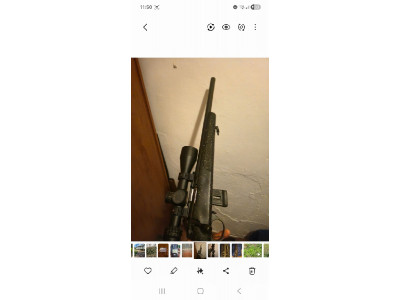 Bergara carbon 17hmr