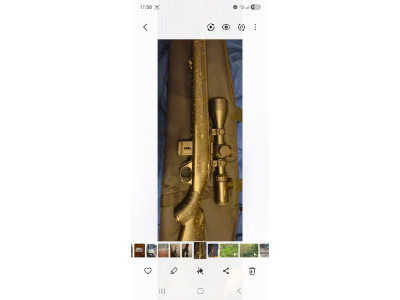 Bergara carbon 17hmr