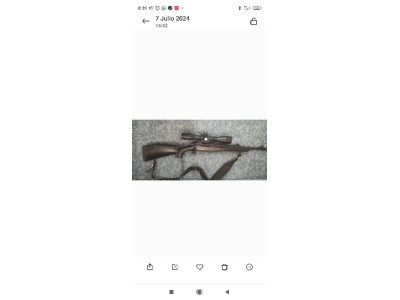 Bergara extreme sporter