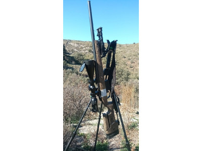 Bergara HMR  zurdos visor r vortex