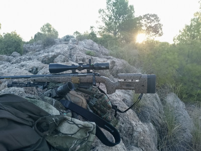 Bergara HMR  zurdos visor r vortex