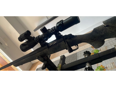Bergara b14 wilderness sierra