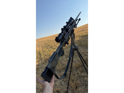 Bergara B14 Wilderness Thumbhole Steel 300WM Steiner 4-32x56 BT