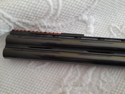 Bettinsoli calibre 12