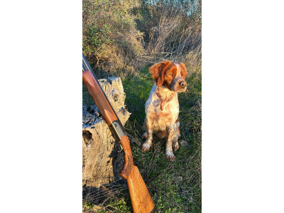 Blaser F16 Caza 76cm Cañón