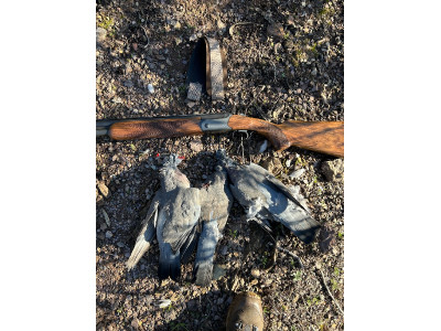 Blaser F16 Caza 76cm cañón