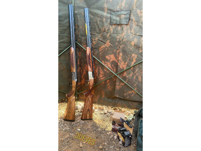 Blaser F16 Caza 76cm cañón