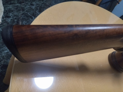 Blaser f16 esporting