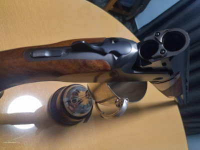 Blaser f16 esporting