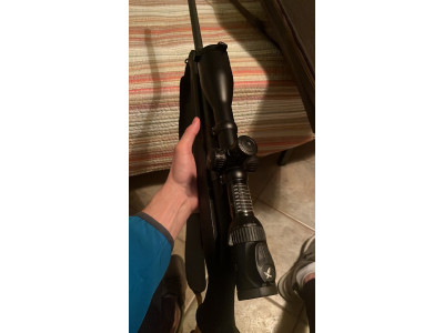 blaser r8 + visor swashroski