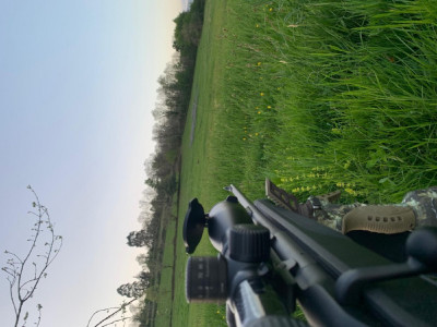 blaser r8 + visor swashroski