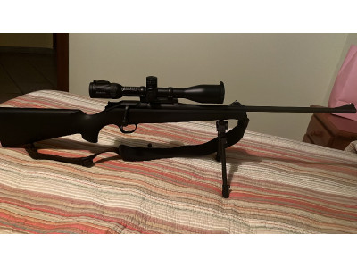 blaser r8 + visor swashroski