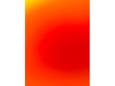 Blaser R8 Ultimate de Carbono con Visor DS