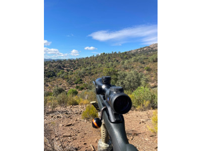 Blaser R8 zurdo 270win