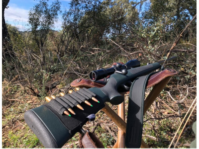 Blaser r93 calibre 300