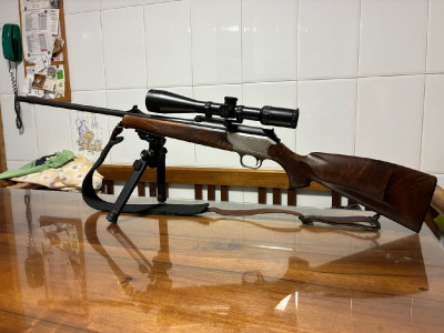 Blaser R93 con mira Delta titanium HD