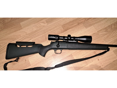 Blaser R93 profesional338wm