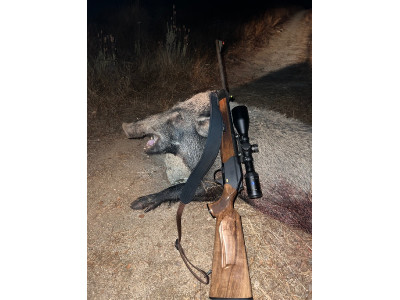 Blaser standard 8,5x55