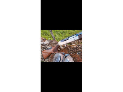 Breda titano niquel calibre 12