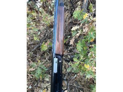 Browning a5 caibre16
