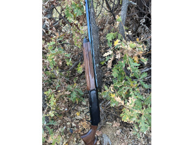 Browning a5 caibre16