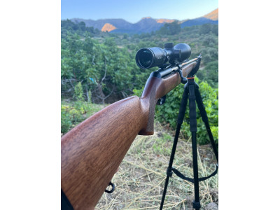 BROWNING ACERA 30.06