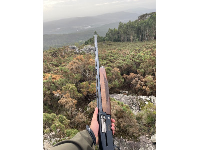 Browning Gold Cal. 12