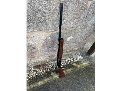 browning gold cal.12