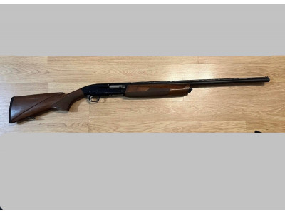 Browning gold fusion evolve