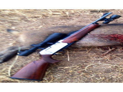 Browning Long Track 30-06 Rifle y Visor