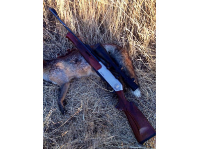 Rifle Browning Long Track con Visor