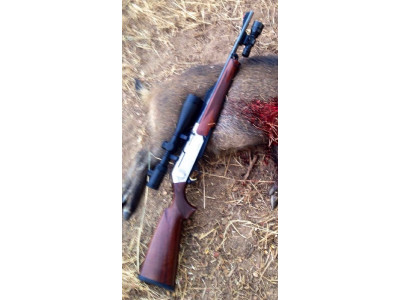 Browning long track y visor