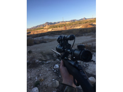 Browning X-Bolt 7MM REM MAG