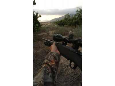 Browning X-Bolt 7MM REM MAG