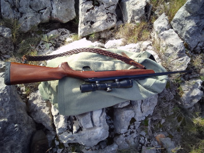 Bruwing xbolt 3006 en venta