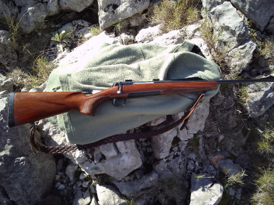 Bruwing xbolt 3006 en venta