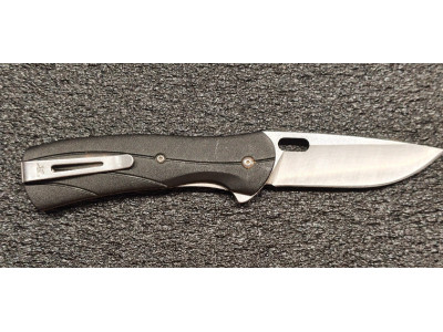 Buck 110 Folding Hunter