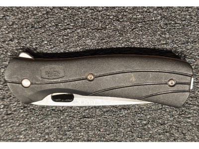 Buck 110 Folding Hunter