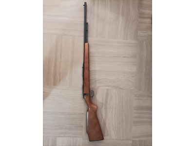 carabina 22  winchester